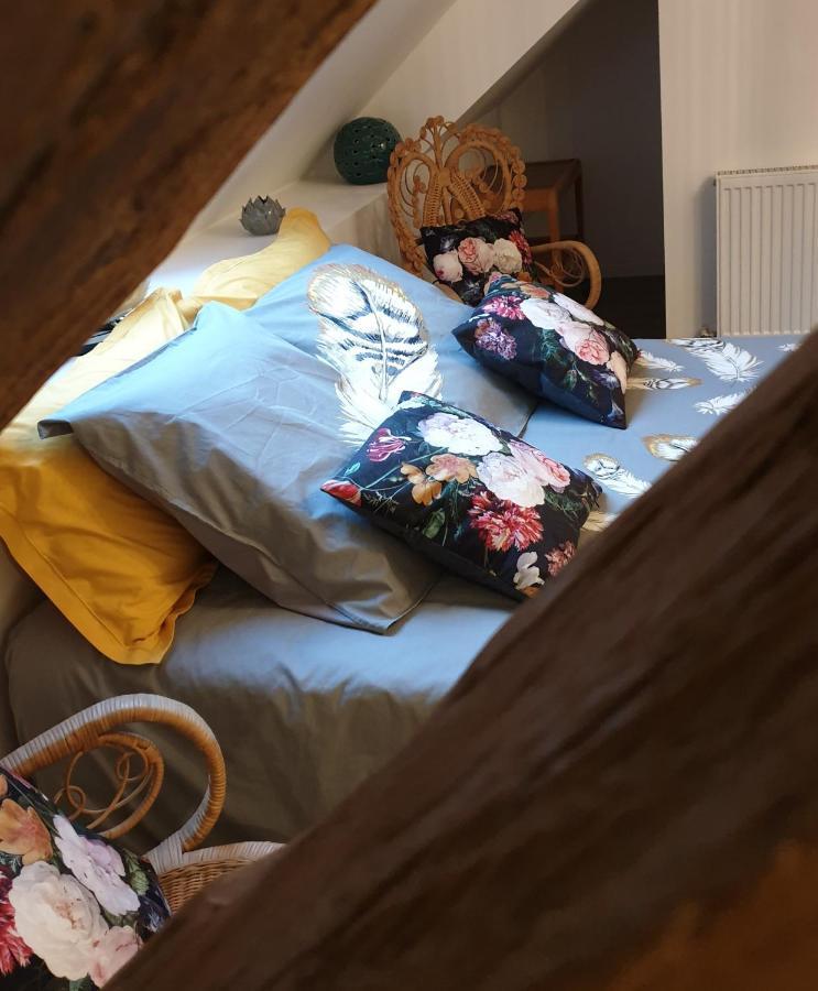 Maison Belenos Nevy-Sur-Seille Kültér fotó